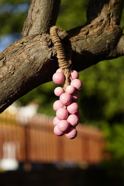 GRAPE SOAP BUNCH