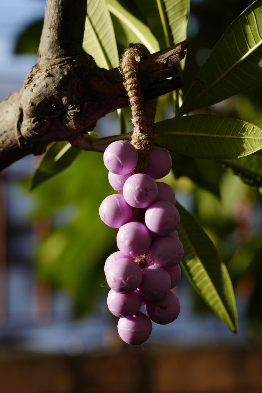 GRAPE SOAP BUNCH