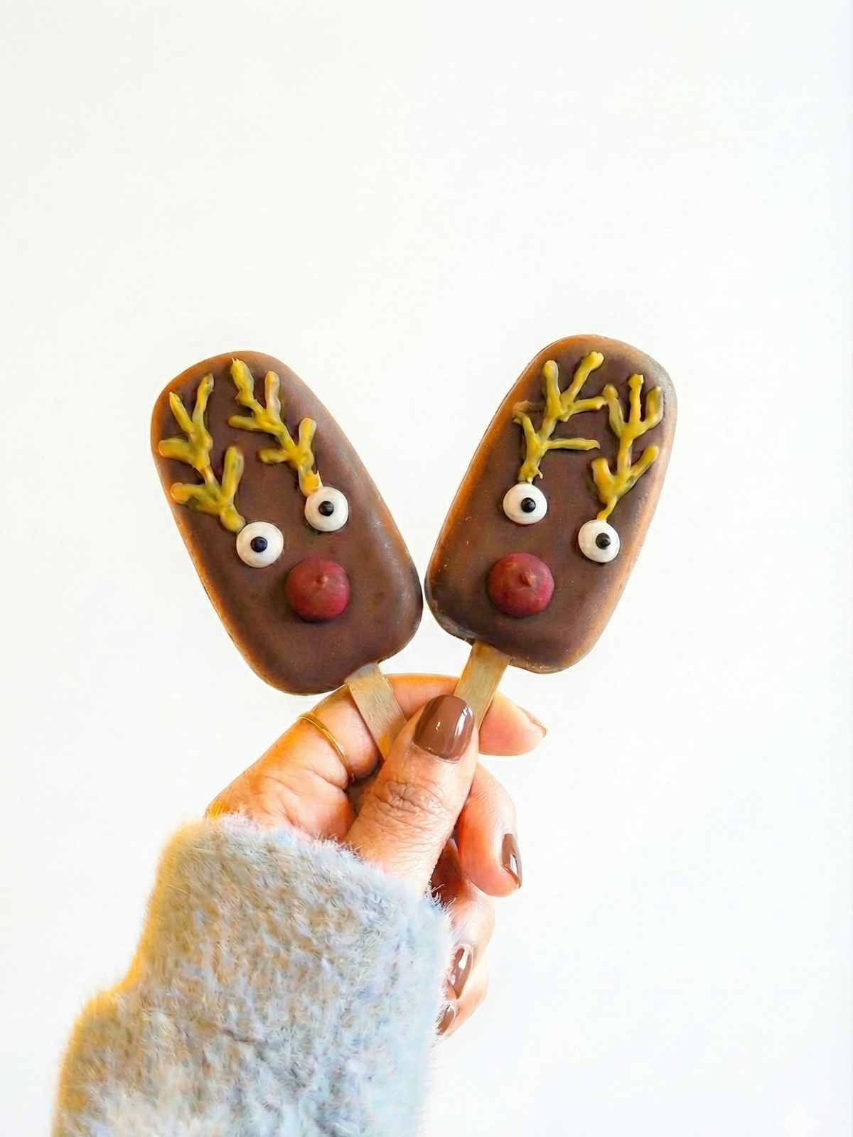 REINDEER POPSICLE SOAP